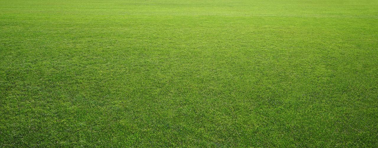 Césped artificial opiniones ¡Precios, tipos y consejos! 【2019】